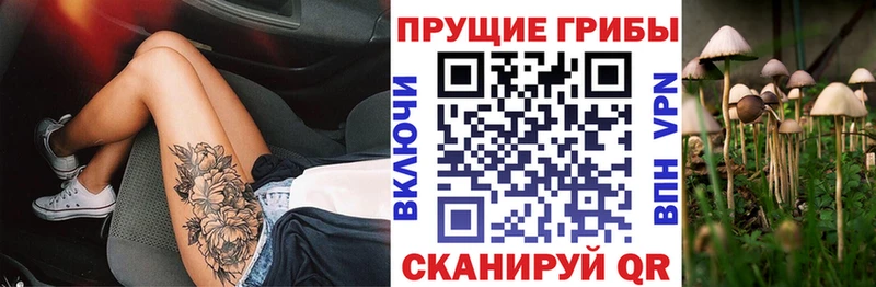 Галлюциногенные грибы Psilocybe  купить  цена  Жуковский 